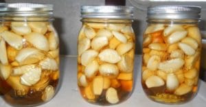 Garlic Apple Cider Vinegar And Honey