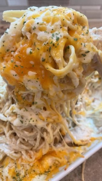 "Image of a baking dish filled with chicken tetrazzini topped with melted cheese