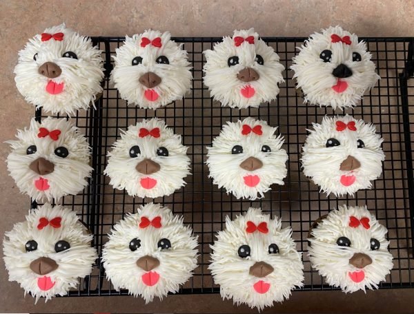 A tray of freshly baked vanilla puppy cupcakes with frosting