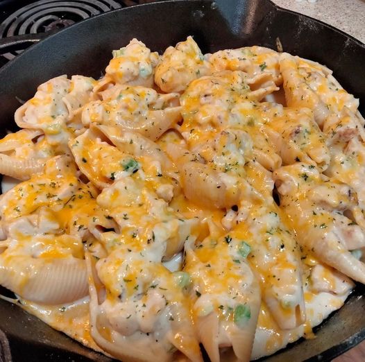 "Chicken Alfredo Stuffed Shells resting in a baking dish, golden and bubbling with creamy Alfredo sauce, filled with tender chicken and cheese."